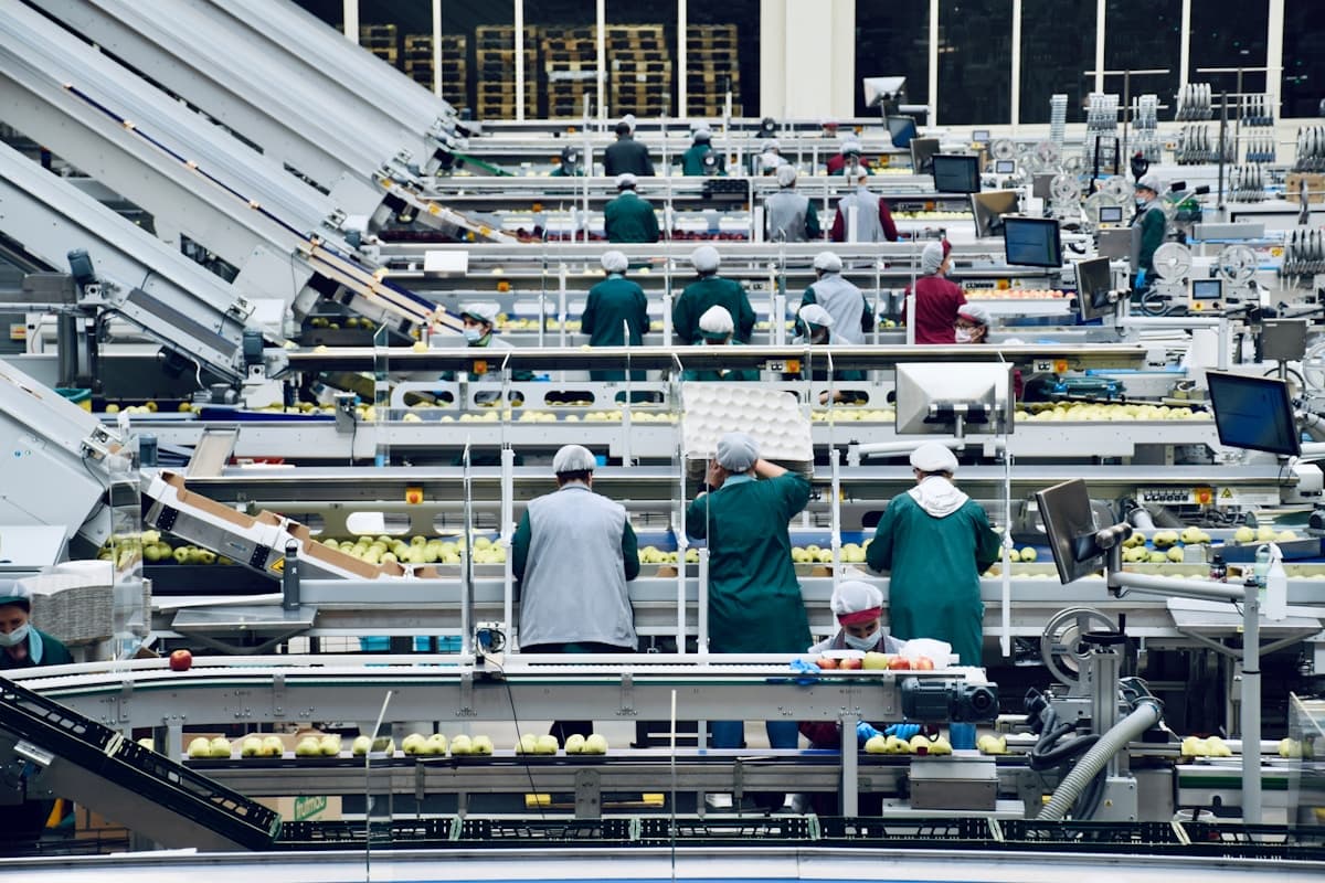 Workers on a factory production line